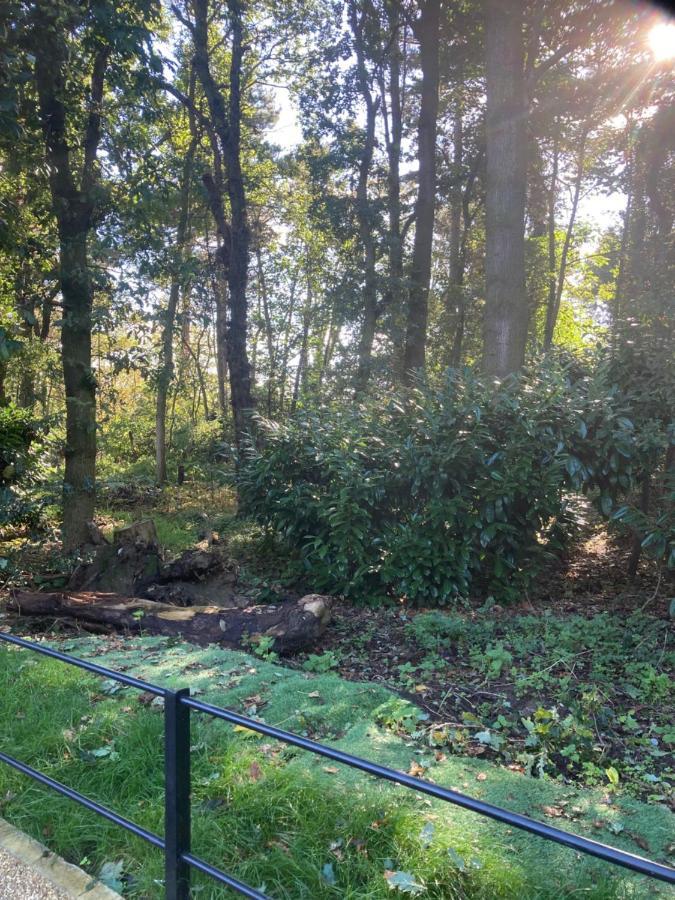 Woodland Retreat, Market Lane, Blundeston, Lowestoft المظهر الخارجي الصورة
