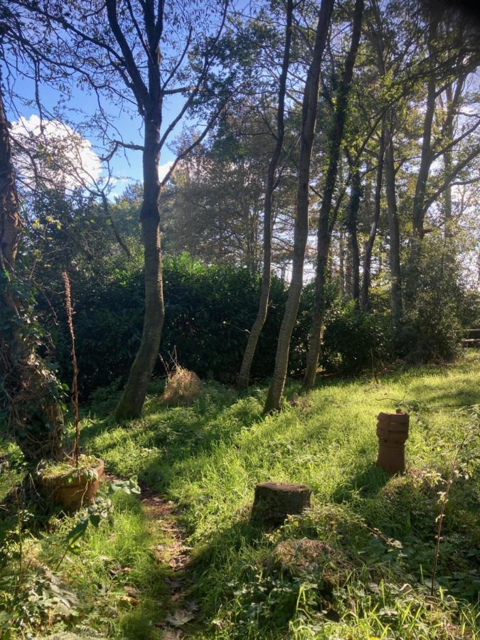 Woodland Retreat, Market Lane, Blundeston, Lowestoft المظهر الخارجي الصورة