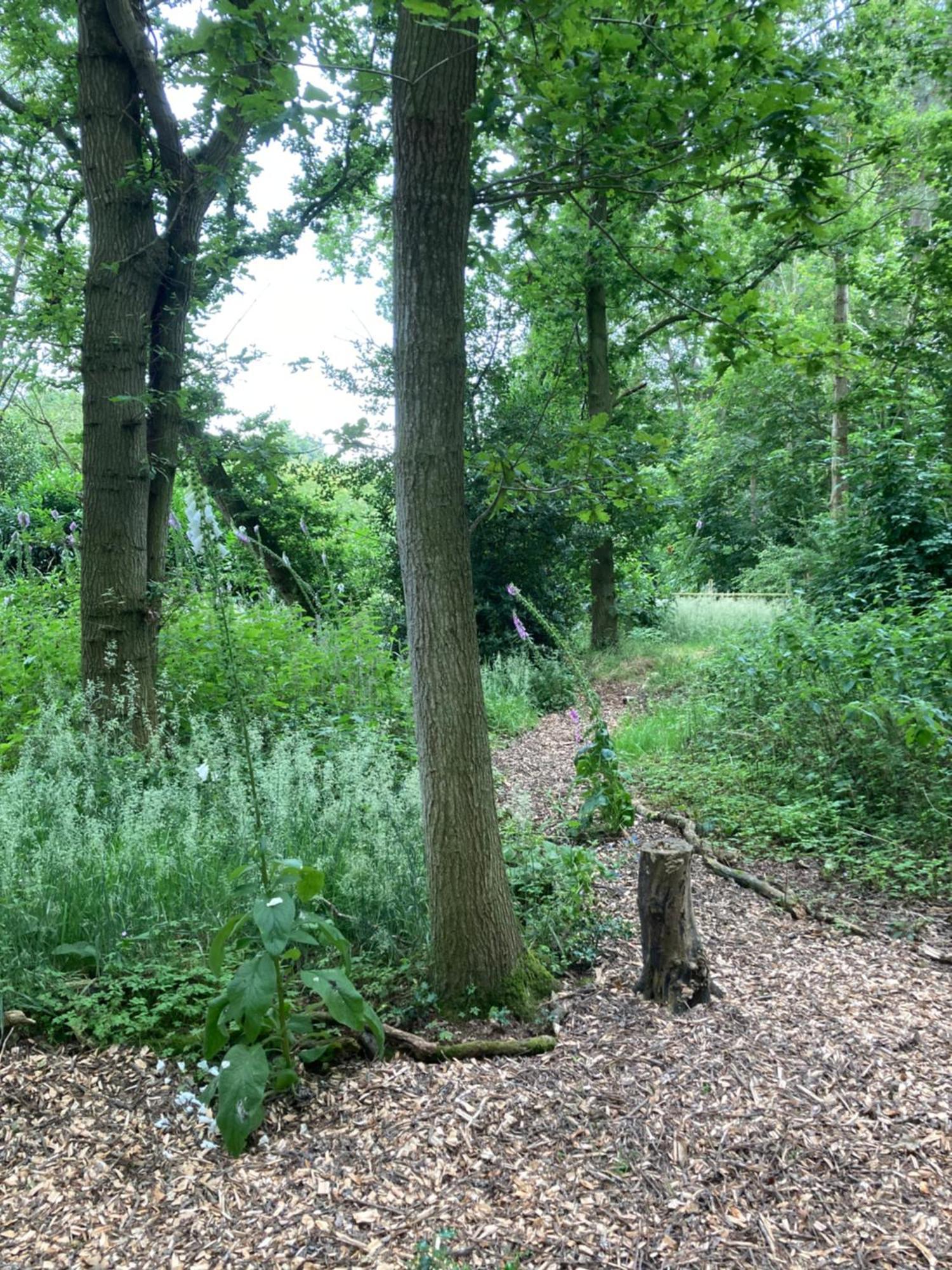 Woodland Retreat, Market Lane, Blundeston, Lowestoft المظهر الخارجي الصورة